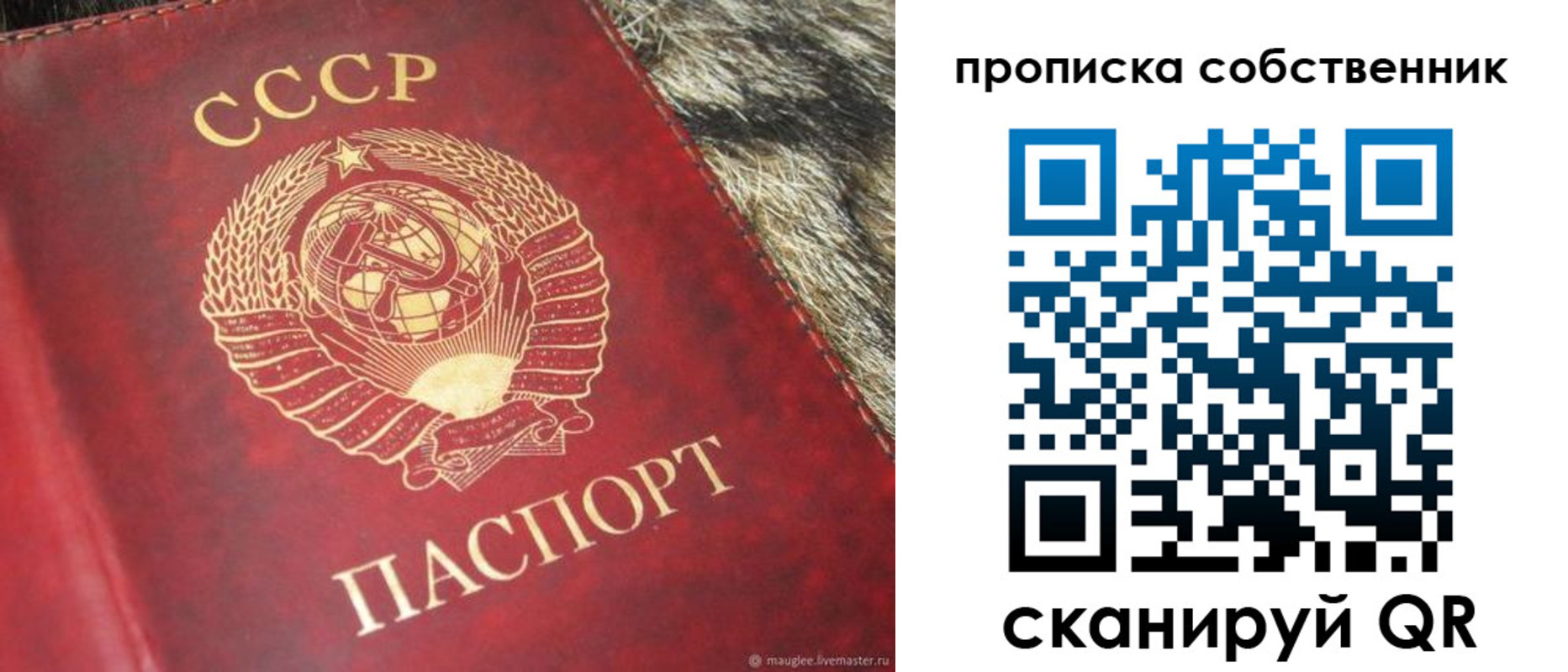 прописка в квартире в Зее
